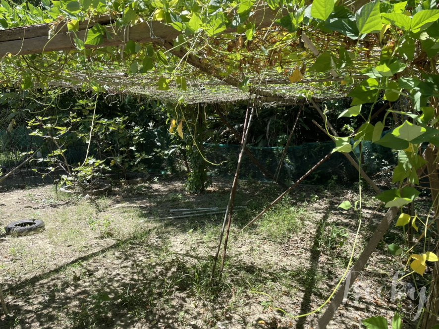 洋嘉病媒防治環境消毒 | 實地施作及蚊蟲防治成果