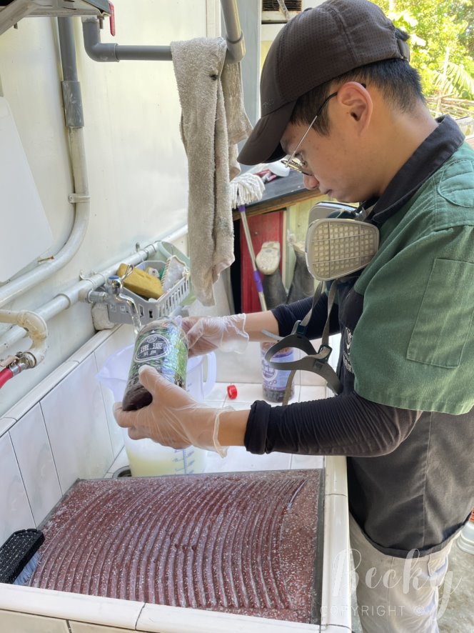 洋嘉病媒防治環境消毒 | 實地施作及蚊蟲防治成果