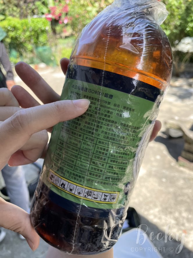 洋嘉病媒防治環境消毒 | 實地施作及蚊蟲防治成果