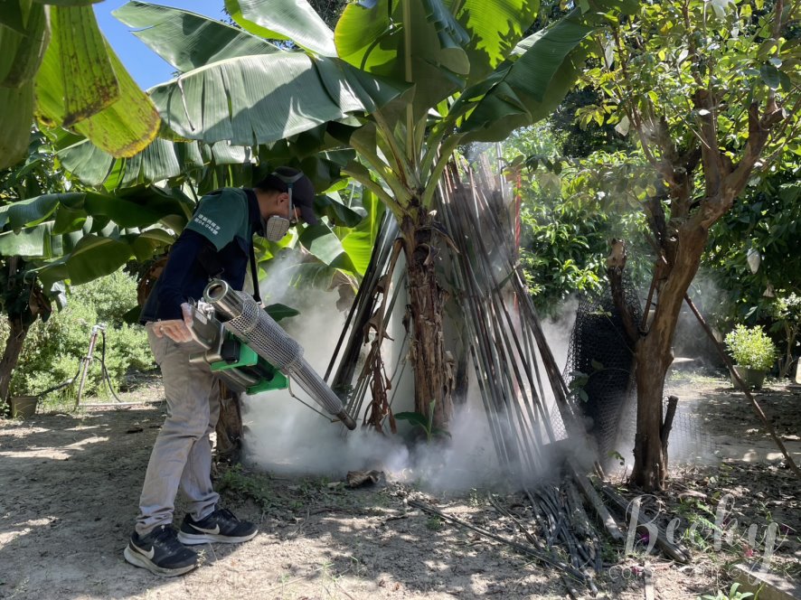 洋嘉病媒防治環境消毒 | 洋嘉服務流程