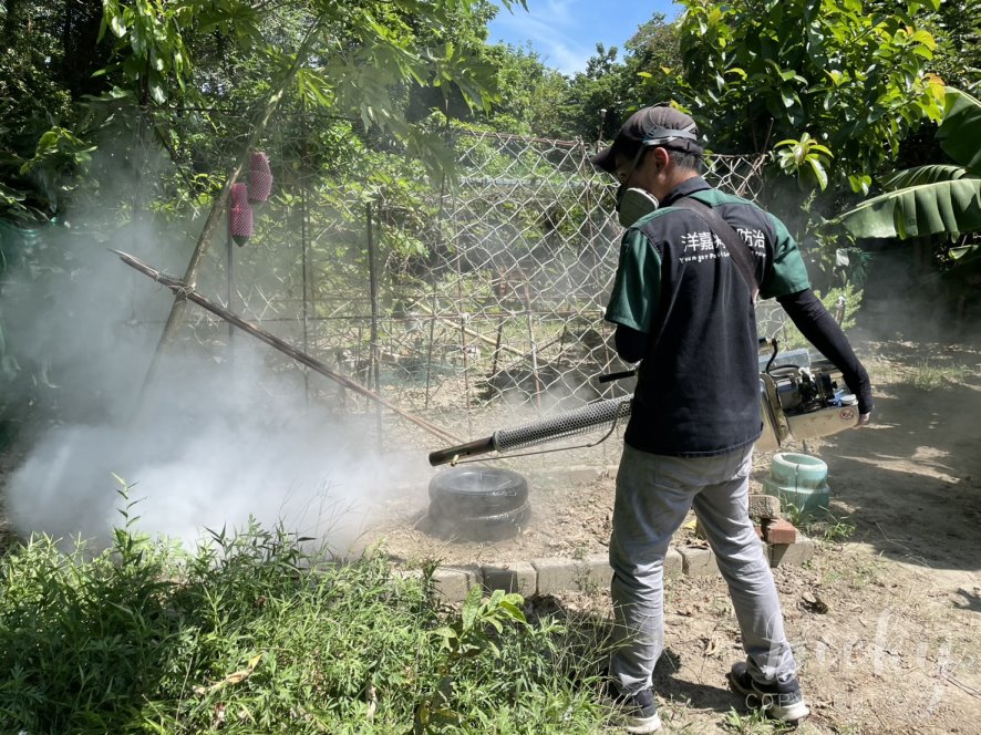 洋嘉病媒防治環境消毒 | 實地施作及蚊蟲防治成果