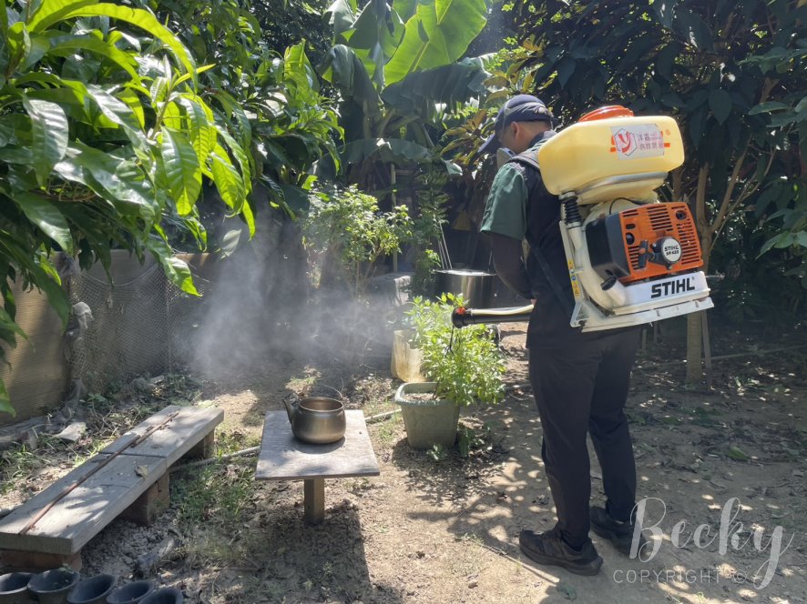 洋嘉病媒防治環境消毒 | 實地施作及蚊蟲防治成果