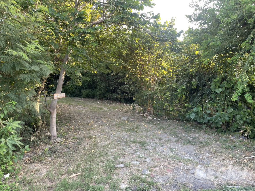 新竹市舊港島 | 島上唯一咖啡廳-甜里覓時