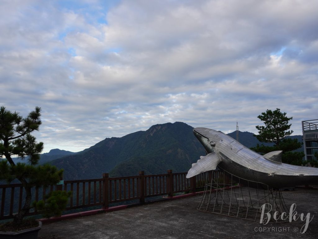 數碼天空露營 | 園區特色介紹