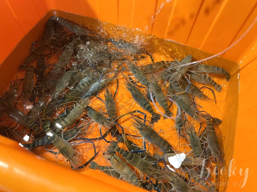 竹北熱炒推薦 | 草地囡仔複合式熱炒用餐環境