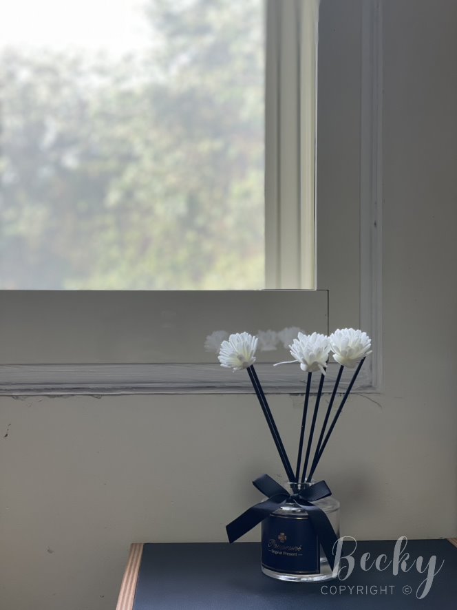 美國Pavaruni香氛 | 擴香瓶系列開箱